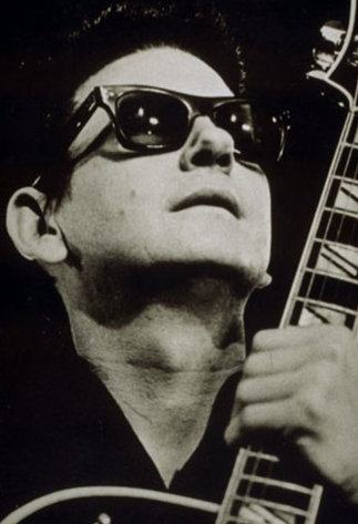 Roy Orbison A new species of beetle named after Roy Orbison