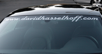 david_hasselhoff.gif