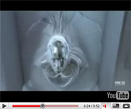 shirly manson urinal From Garbage to toilet: Shirley Manson plays killer urinal Terminator