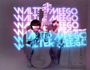 walter-meego.gif