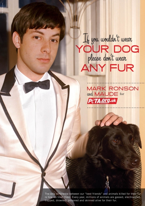 mark_ronson_anti_fur_ad mark ronson anti fur ad *something about Mark Ronson being seen with another bitch*
